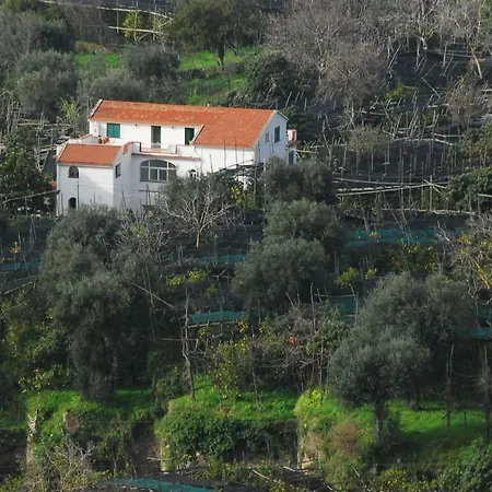 Azienda Agricola Veniero Apartment Piano di Sorrento
